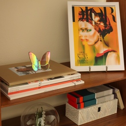 A butterfly catching light, a glass dome holding spring. Nothing here moves, yet it feels like everything is gently waiting.
#ShelfStyling #DecorDetails #SpringStillness #CuratedSpace
