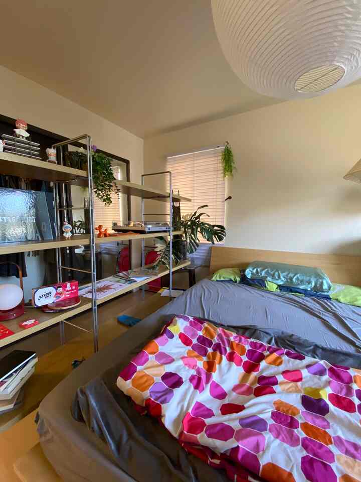 Natural tone bedroom with ivory walls and wood shelving, featuring colorful bedding and open shelves creating a cozy atmosphere
