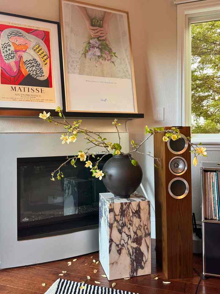More magnolias are blooming! Even the fallen petals are so pretty 🥹🌼

#flowerbranch #livingroominterior #marble #flowerarrangement #minimalinterior
