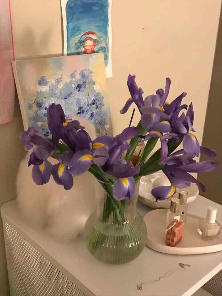  iris 💜💟 #purple ☂️