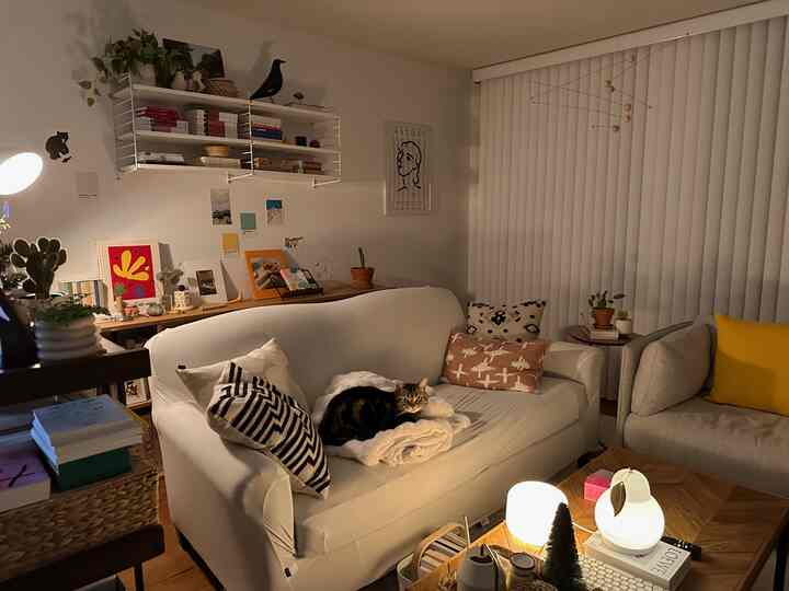 Cozy living room in beige and white tones under warm lighting, featuring a cat resting on the sofa