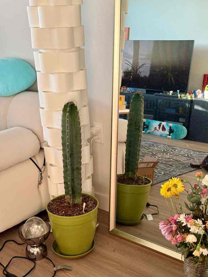 Suka warna musim semi yang hadir di ruang saya #springcolors #colorpalette #flowers