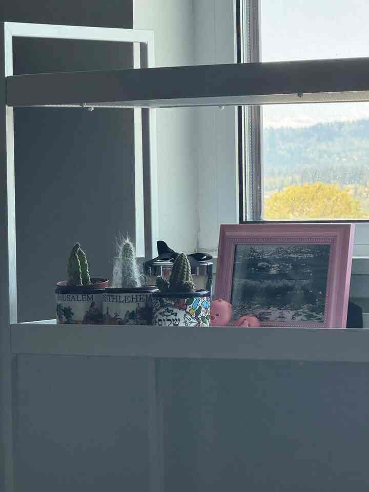 Close up of my utilitycart 🩵
#utilitycart #spring #cactus #loopy #ikea