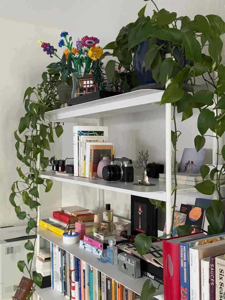On our bookshelves: lots of design books for reference, collection of souvenirs from trips, cameras, cookbooks with lots of tags, emergency instant coffee 📚

#homeoffice #bookshelfinterior #modularshelf #modularfurniture #minimalist #muutoshelves