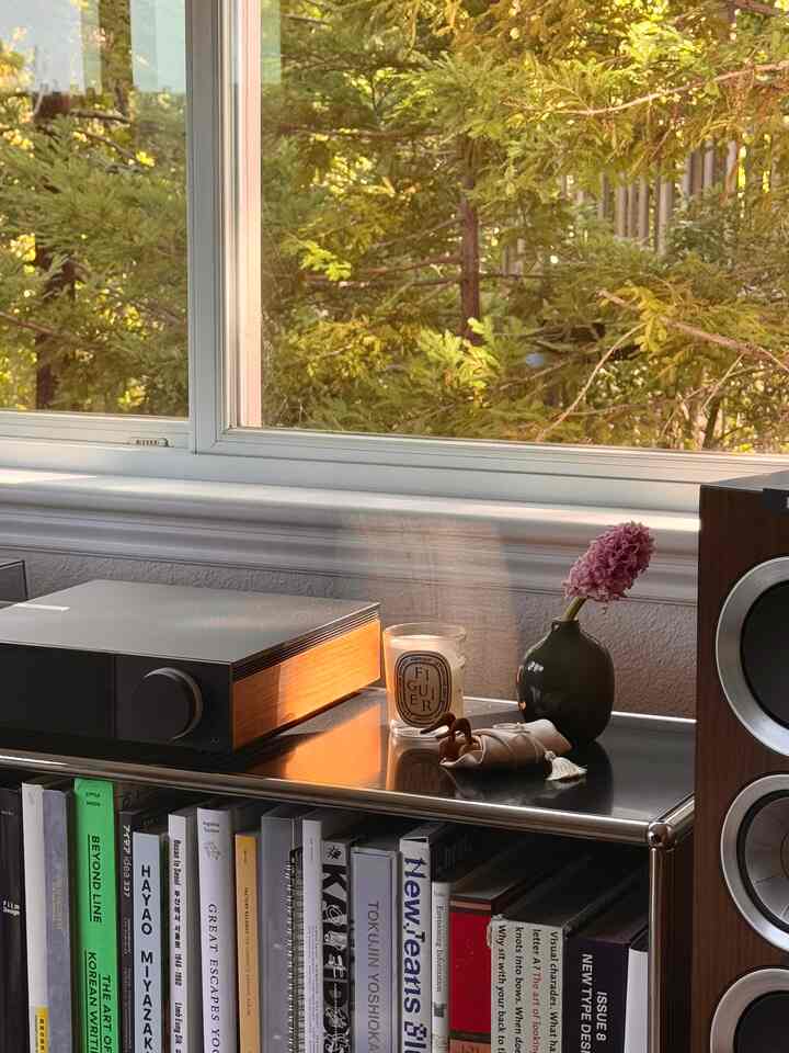 A minimal living room storage cabinet by the window featuring a candle and a pink hyacinth flower, harmonizing wood tones and black accents