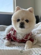 sojishouse님의 프로필 이미지